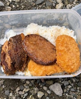 お弁当見せてください