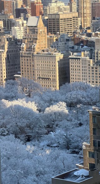 NEW    松居一代様を斬る  2 