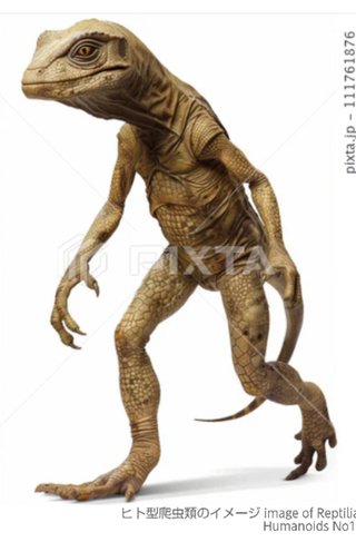 インスタの丸亀親善大使ファイナリストの方