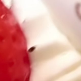 インスタの丸亀親善大使ファイナリストの方