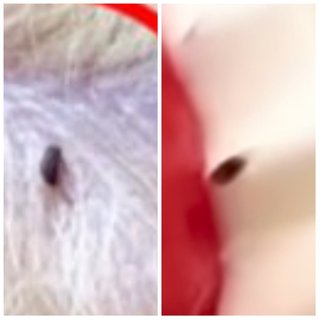 インスタの丸亀親善大使ファイナリストの方