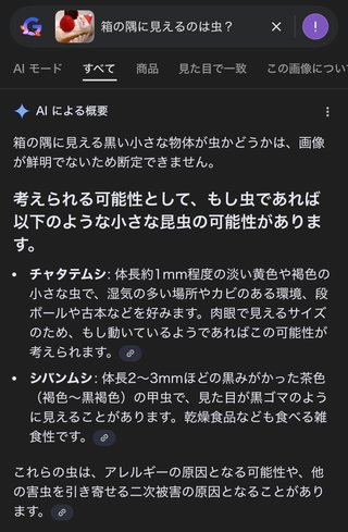 インスタの丸亀親善大使ファイナリストの方