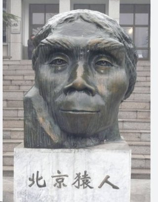 インスタの丸亀親善大使ファイナリストの方