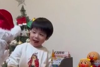 豆腐と節男と時々ズミ