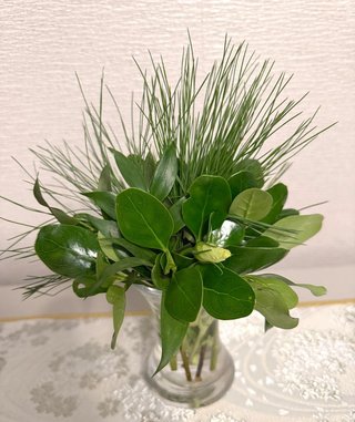 NEW    松居一代様を斬る  2 