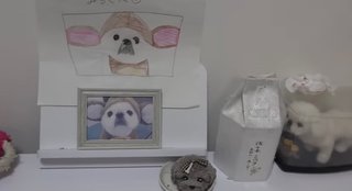 美奈子の長女、離婚を報告