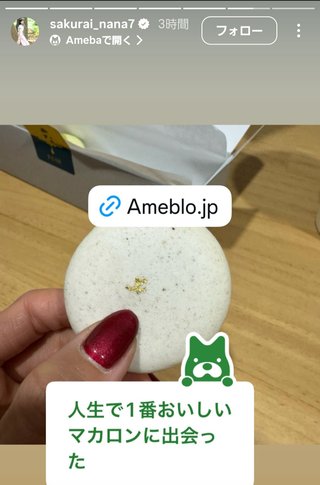 桜井奈々さんって