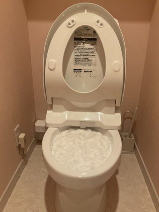 数ヶ月前にサボったリングが便器から溢れたトピを建てた物です【画像あり】