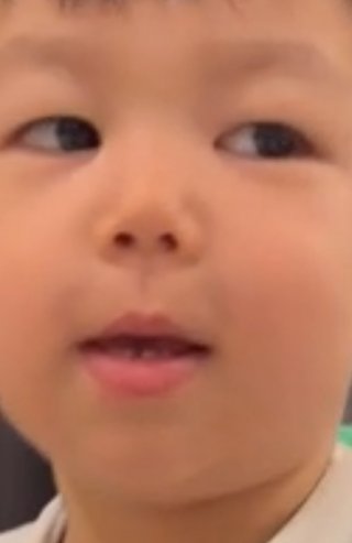 豆腐とズミと節男(雑談)