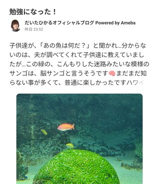 豆腐とズミと節男(雑談)