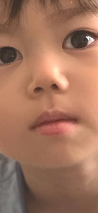 豆腐とズミと節男(雑談)