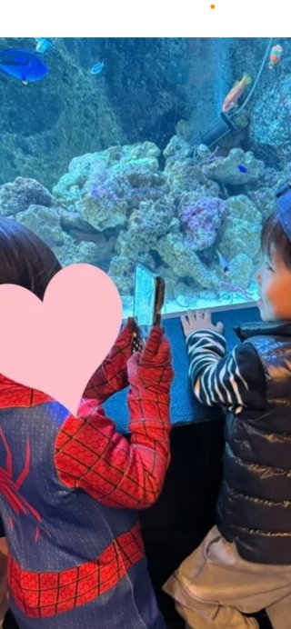 豆腐とズミと節男(雑談)