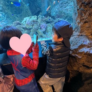 豆腐とズミと節男(雑談)