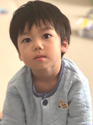 豆腐とズミと節男(雑談)