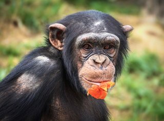 インスタの丸亀親善大使ファイナリストの方