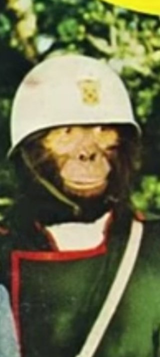 インスタの丸亀親善大使ファイナリストの方