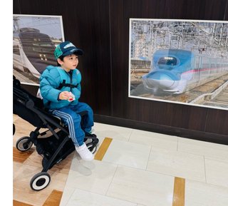 豆腐とズミと節男(雑談)