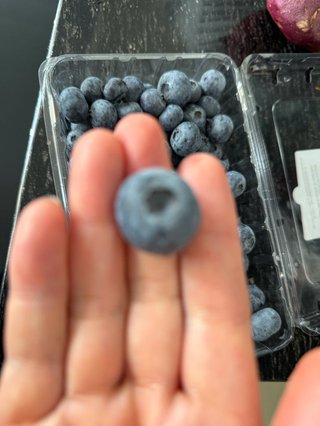 NEW    松居一代様を斬る  2 