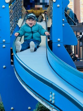 豆腐とズミと節男(雑談)