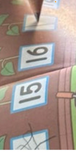 豆腐とズミと節男(雑談)