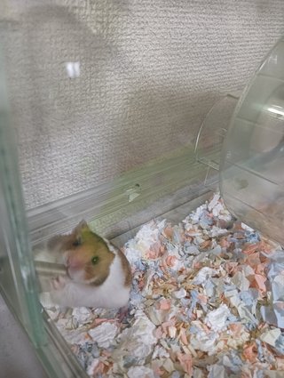 【ちらし裏】聞いてほしいの【ここに書け】