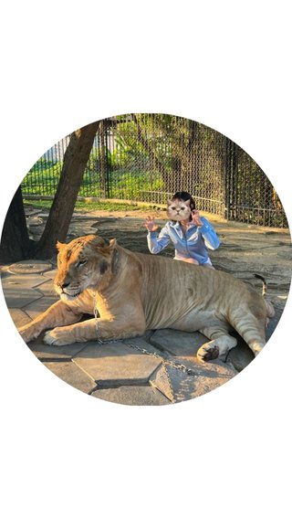 与儀だいすけ、ヨギボーのファンの集い