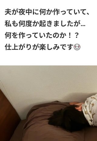 豆腐とズミと節男(雑談)