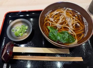 NEW    松居一代様を斬る  2 