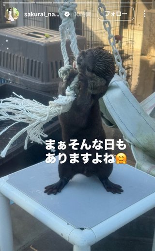 桜井奈々さんって