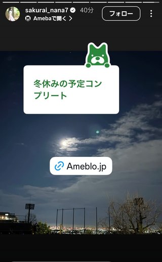 桜井奈々さんって