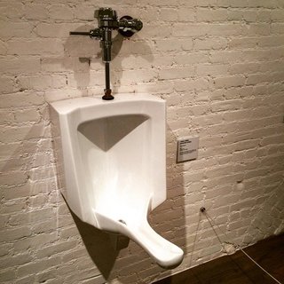女性用立小便器