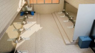 このトイレで用を足せますか？（日本ではないです）