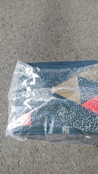 交差点で辛子明太子拾ったよ！！