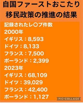 移民反対　レイプ大国になるぞ