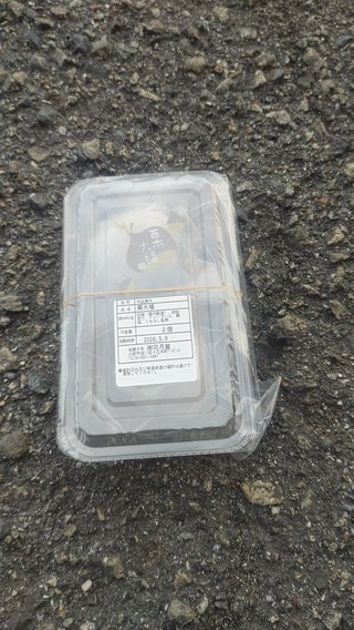 交差点で栗饅頭拾ったよ！！