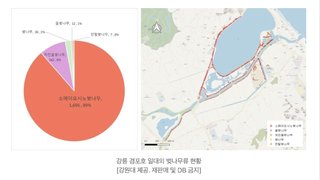 韓国桜､97%が日本品種だった　韓国メディアが報じる