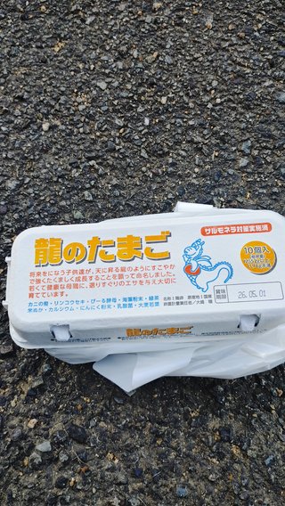 交差点で超絶ミラクルスーパー高級卵拾ったよ！！