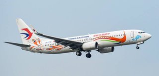 【CNN】132人死亡の中国旅客機墜落､故意の疑い強まる　2022年の事故