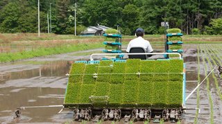 コメ価格下落続く　過去10年で最大の｢コメ余り｣