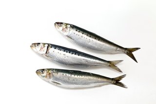 イワシが豊漁で安いみたいだけど買う？