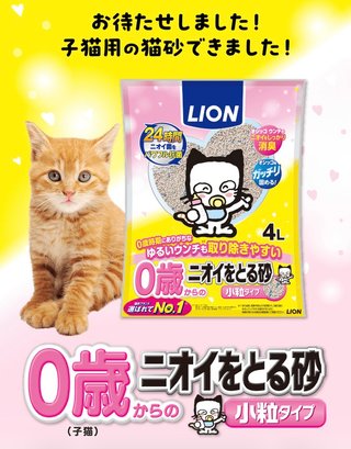 猫飼っている人、何匹買っていますか？