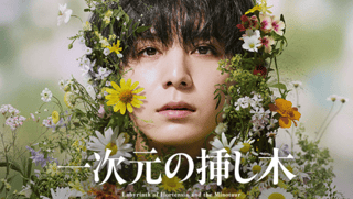 『一次元の挿し木』日テレ系