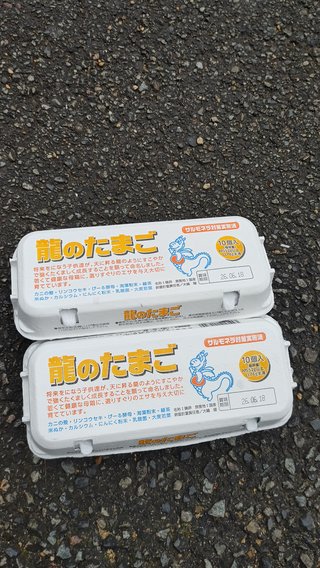 交差点で高級エッグ拾ったよ！！