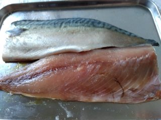 この魚は何？