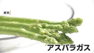 農家が育てていたアスパラガス枯れる…逮捕されたのは“同業の農家”【佐賀県】