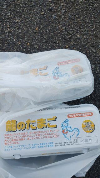 交差点で超高級エッグ拾ったよ！！
