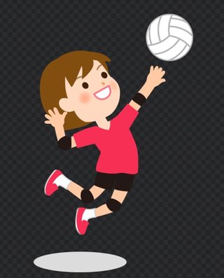 バレーボール🏐総合