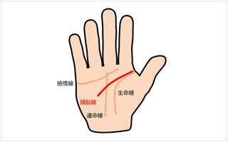 あんたら知能線無いだろ