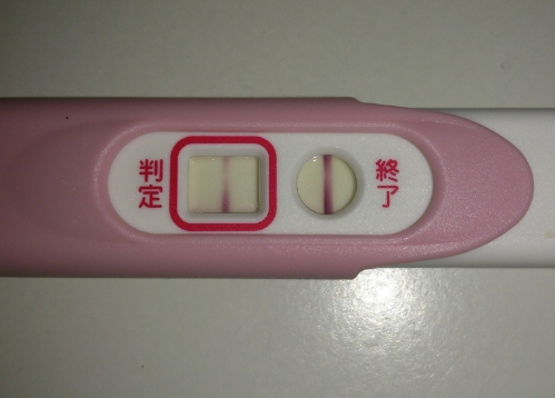 【妊娠検査薬フライング判定】写真はこちら【専用】