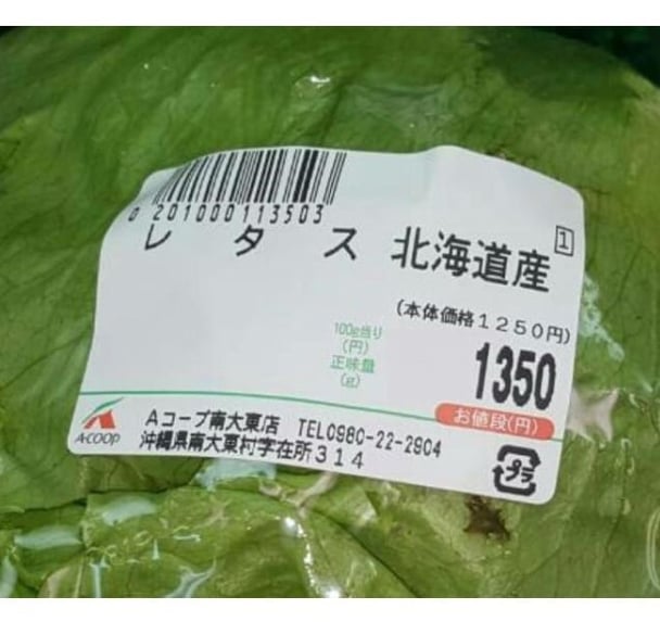 レタス１玉 ４９８円＋消費税…「肉より高い」野菜異常高値に悲鳴